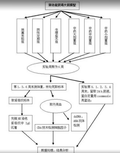 23個(gè)可編輯技術(shù)路線圖模板與繪制技巧 含國(guó)自然九大熱點(diǎn)領(lǐng)域應(yīng)用指南
